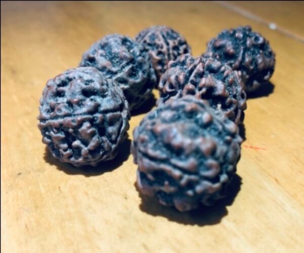 Rudraksha 4 FACE single bead