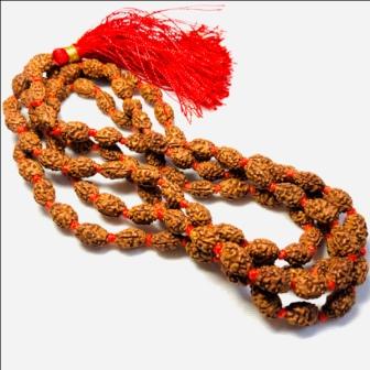 10 Mukhi Rudraksha Mala